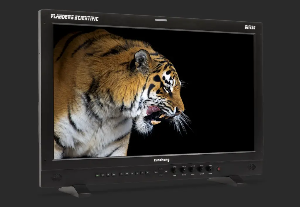 Flanders DM220 22" | Rec Rental - Monitors